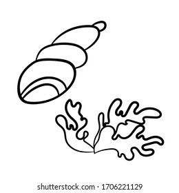 Sea corals and seashell. A simple sketch drawn by hand.Summer vector illustration in Doodle  style. Isolated object on a white background. For the design of icons, logos, and children's coloring books