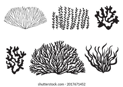 sea corals and seaweed black silhouette. vector isolated