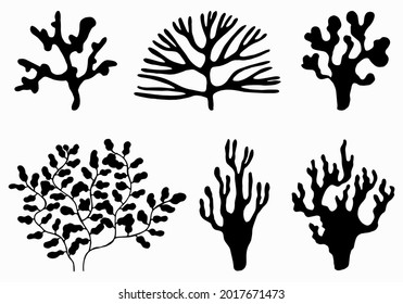 sea corals and seaweed black silhouette. vector isolated set