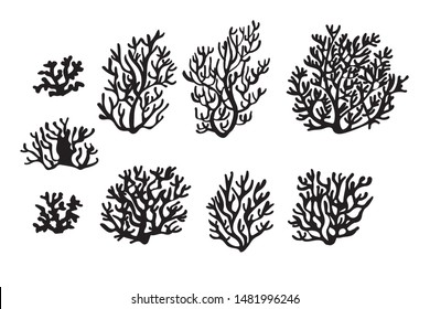 Sea corals and seaweed. Underwater and aquarium plant silhouettes. Black and white esign elements for sea bottom scene. Vector illustration isolated in white.