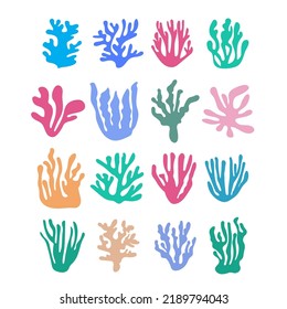 Sea corals. Underwater plants, hand drawn marine botanical seaweed, polyps and corals, sea flora vector illustration set. 