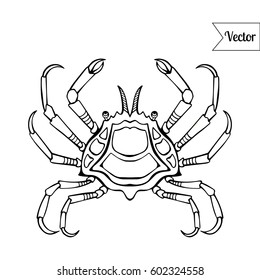 Sea crab black and white vector illustration. Monochrome sea food lable.