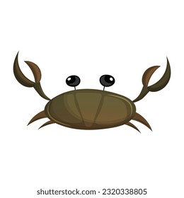 Sea crab with claws and bulging eyes. Flat vector illustration isolated on white background.