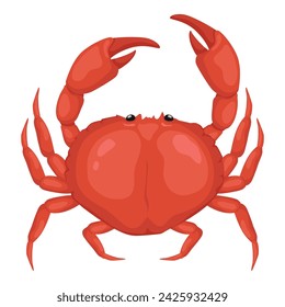 Sea crab, fresh seafood. Vector illustration