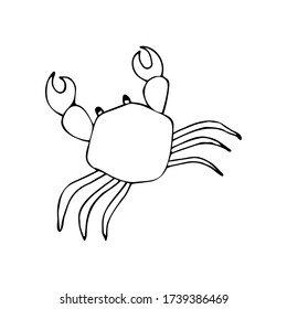 Sea crab, hand drawn line art. Nice picture of marine life. Vector illustration