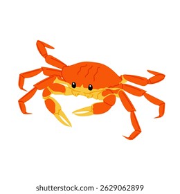 Sea crab. Marine animal. Seafood illustration in flat style. Red crab on a white background. 