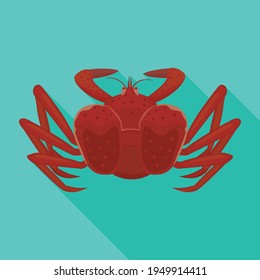 Sea crab vector icon.Flat vector icon isolated on white background sea crab .