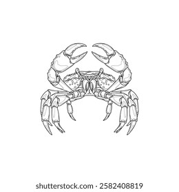 Sea crab.Coloring book antistress for children and adults. Illustration isolated on white background.Hand draw