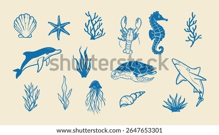 Sea Creature Tropical Ocean Nature Graphic Collection.