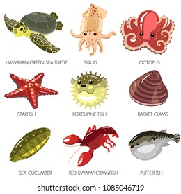 Sea Creature vector Sea Turtle Squid Octopus Starfish  Sea Cucumber Porcupine Fish Basket Clams Red Swamp Craw fish  Puffer fish 