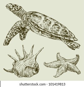 sea creatures