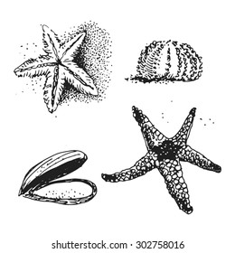 Sea creatures