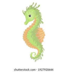 Sea creatures. Beautiful seahorse green. Sea creature. Vector illustration isolated on white background