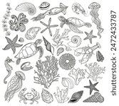 Sea creatures. Big vector collection, isolated elements on a white background.  Hand drawn illustration. Excellent for the design of invitations, cards, menu decoration,  printing and textiles. 