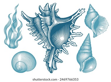 Sea creatures. Design set. Editable hand drawn illustration. Vector vintage engraving. Isolated on white background. 8 EPS
