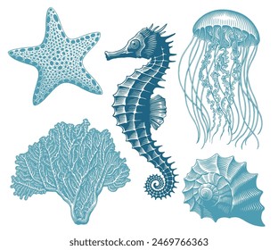 Sea creatures. Design set. Editable hand drawn illustration. Vector vintage engraving. Isolated on white background. 8 EPS
