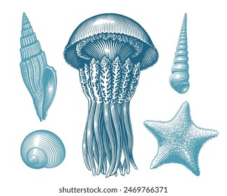 Sea creatures. Design set. Editable hand drawn illustration. Vector vintage engraving. Isolated on white background. 8 EPS
