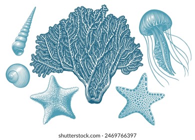 Sea creatures. Design set. Editable hand drawn illustration. Vector vintage engraving. Isolated on white background. 8 EPS
