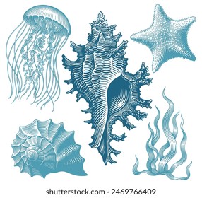 Sea creatures. Design set. Editable hand drawn illustration. Vector vintage engraving. Isolated on white background. 8 EPS
