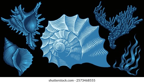 Sea creatures. Design set. Editable hand drawn illustration. Vector vintage engraving. Isolated on black background. 8 EPS