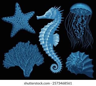 Sea creatures. Design set. Editable hand drawn illustration. Vector vintage engraving. Isolated on black background. 8 EPS