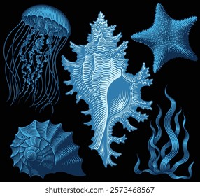 Sea creatures. Design set. Editable hand drawn illustration. Vector vintage engraving. Isolated on black background. 8 EPS