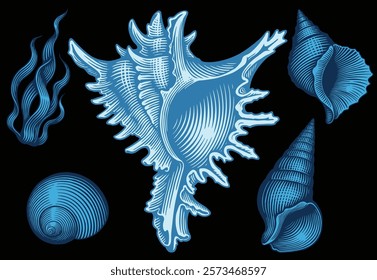 Sea creatures. Design set. Editable hand drawn illustration. Vector vintage engraving. Isolated on black background. 8 EPS