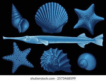 Sea creatures. Design set. Editable hand drawn illustration. Vector vintage engraving. Isolated on black background. 8 EPS