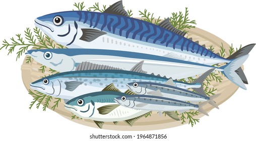 Sea creatures, sea food (blue fish in a colander)