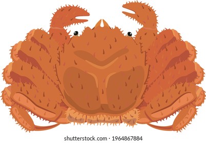 Sea creatures, sea food (hair crab)
