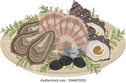 Sea creatures, sea food (shellfish in a colander)