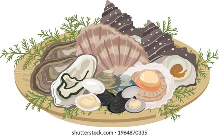 Sea creatures, sea food (shellfish in a colander)