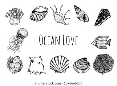 Sea creatures hand drawn sketches set  isolated on white. Black and white sea creature coloring page template. Vector illustration.