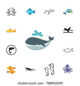 Sea creatures icon set