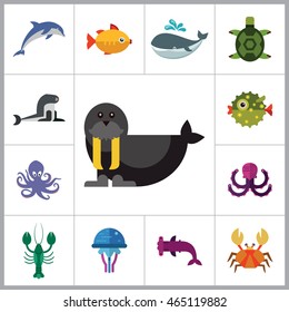 Sea Creatures Icons Set