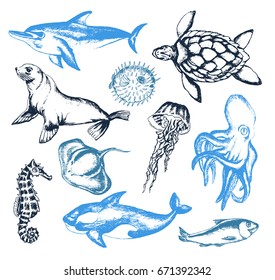 Sea Creatures - illustration of color vector hand drawn vintage composition. Realistic turtle, dolphin, killer whale, cowfish, fur seal, sea bear, jellyfish, octopus, ray, seahorse, herring, swellfish