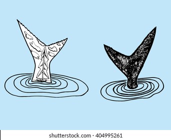 Sea creatures. Line art.  Black and white. Stylized fish. Decorative. Background. Sea bottom.  Whale. Flounder. Whale Tail. The tail of a fish. Set.