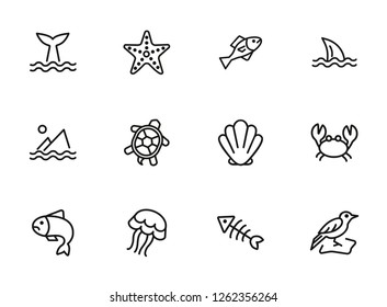 Sea creatures line icon set. Set of line icons on white background. Maritime concept. Shell, turtle, fish, whale.  Vector illustration can be used for topics like sea, ocean