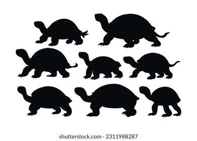 Criaturas marinas y reptiles como tortugas nadando en diferentes posiciones. Colección de siluetas de cuerpo entero tortoise. Silhouettes de tortuga salvaje sobre fondo blanco. Hermosa silueta de tortuga.