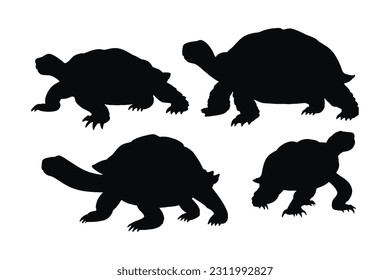 Sea creatures and reptiles like turtles, silhouettes on a white background. Tortoise full body silhouette collection. Wild turtle swimming in different positions. Beautiful turtle silhouette bundle.