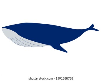 Sea creatures sperm whale vector illustration
