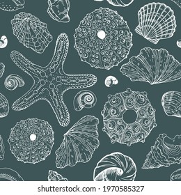 Sea creatures, starfish, sea urchins and seashells, seamless vector illustration