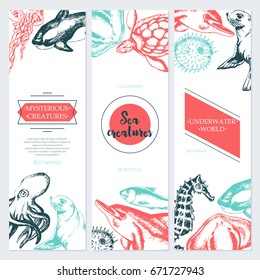 Sea Creatures - three piece color vector drawn square template banner with copy space. Realistic turtle, dolphin, killer whale, fur seal, jellyfish, octopus, ray, seahorse, herring, swellfish
