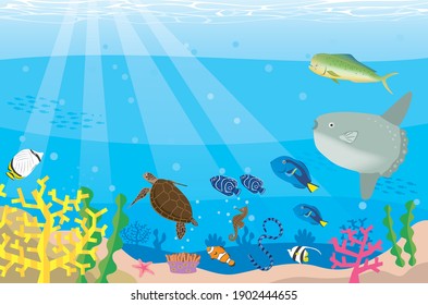 87件の 沖縄 サンゴ のイラスト素材 画像 ベクター画像 Shutterstock