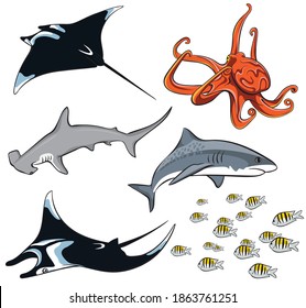 Sea Creatures Vector Pack - Manta Ray Hammerhead Shark Tigershark Octopus Sharks