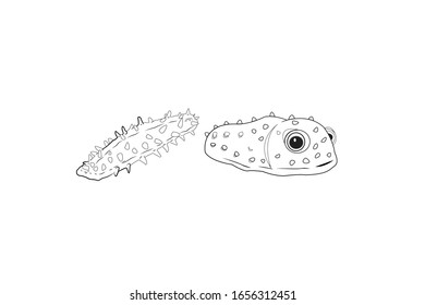 Sea Cucumber Animal Cartoon Vector Outline Illustration