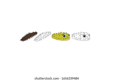 Sea Cucumber Animal Cartoon Vector Illustration Bundle