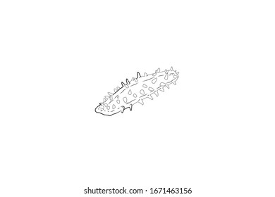 Sea Cucumber Animal Cartoon Vector Outline Illustration