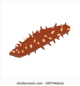 Sea Cucumber For Animal Vector Illustration