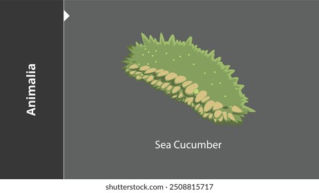 Sea Cucumber Animals are multicellular, eukaryotic organisms in the biological kingdom Animalia. With few exceptions, animals consume organic material, breathe oxygen, have myocytes and are able to mo